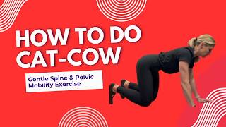 How to Do Cat-Cow | Gentle Spine & Pelvic Mobility Exercise