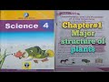 Class 4 General science chapter 1 major structure of plants