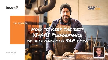 SAP Business One: How to get best Performance out of DI-API