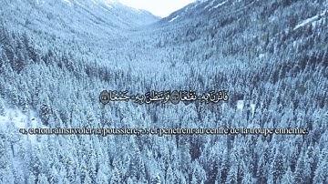 Sourate 100 - Al-'Adiyat (سورة العاديات) | Anas Al-Emadi (أنس العمادي)