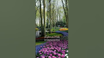 #islam #Quran #تلاوة_خاشعة #قرآن_كريم #اذكار