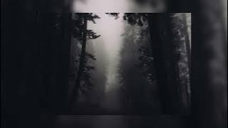 Rammstein - Sonne [SUPER SLOWED] Best Part