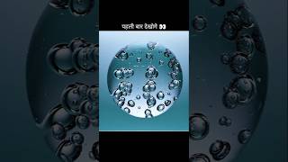 Tiny Creatures in a Drop of Water