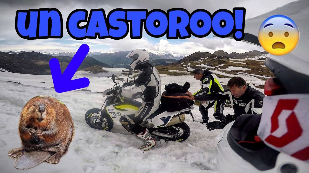 #1 MOTOVLOG ITA | PASSO SAN MARCO TRA LA NEVE E I CASTORI - YouTube Davide Almini 15