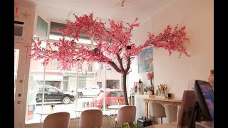 One bloom, one brew at a time | New York Live TV