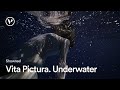 Vita pictura  underwater cinematography  showreel