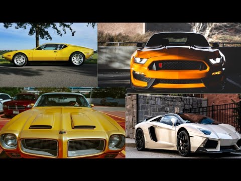 Lionel Messi New Car Collection 2021