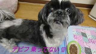 デビフ、乗ってなくても食べれるじゃん♪