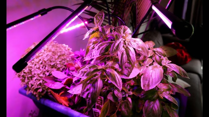 Bionic Grow 9-Watt Equivalent Indoor LED Full Spectrum UV Flexible Plant  Grow Light in Color Changing Lights