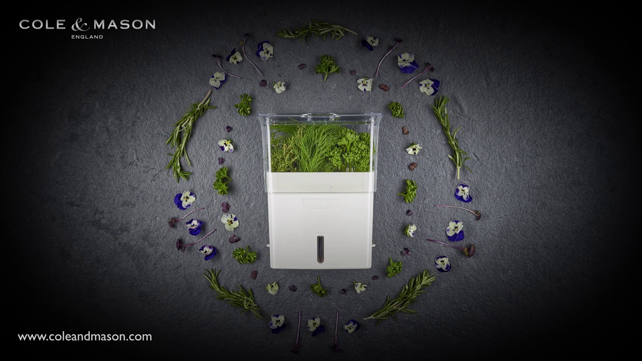 Cole & Mason Tealby Fresh Cut Herb Keeper YouTube