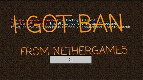 NETHERGAMES BANNED ME FOR 1 MONTH #PLEASESUPPORTMEFRIENDS