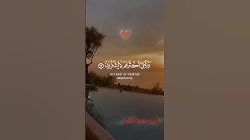 #القارئ #سعد_الغامدي #قرآن #تلاوات