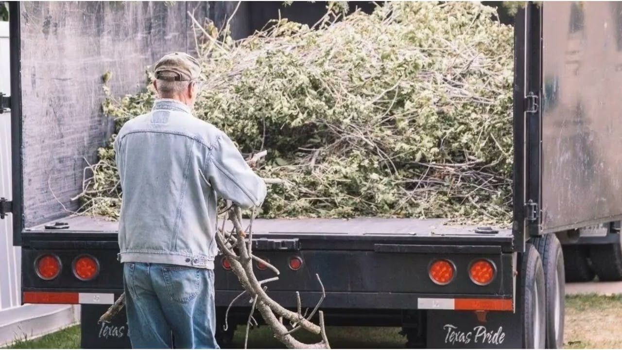 Timber Cuts Tree Service : Tree Pruning in Davis County, UT