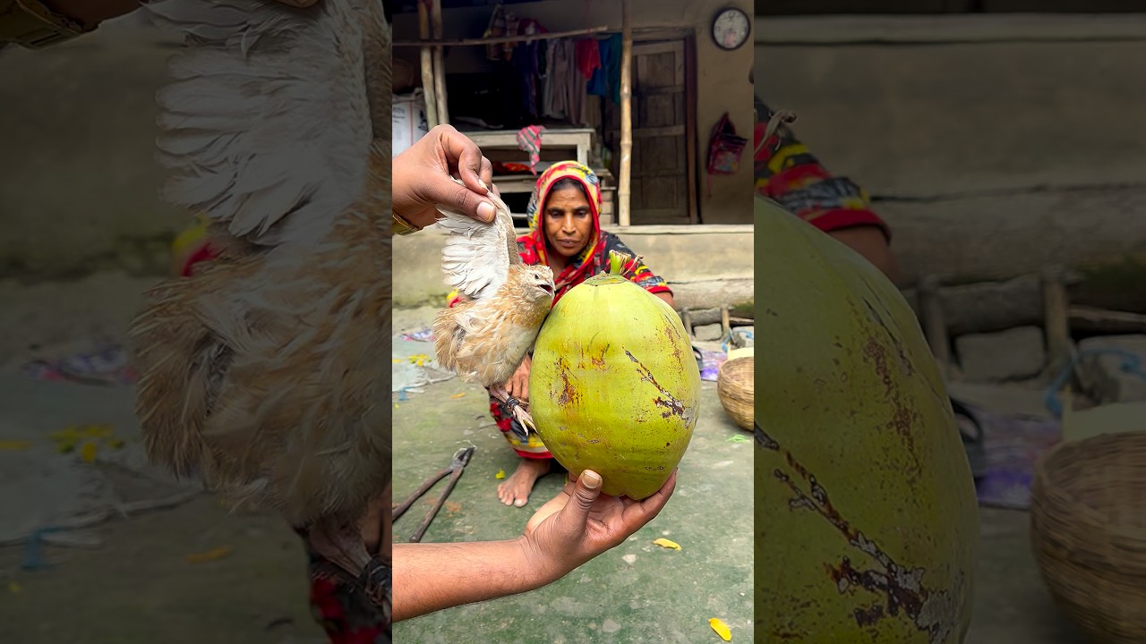 Turning a Coconut Shell into a Beautiful Bird Nest | Step-by-Step Process #shorts #shortsfeed