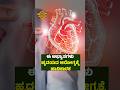 ಈ ಅಭ್ಯಾಸಗಳು ಹೃದಯದ ಆರೋಗ್ಯಕ್ಕೆ ಹಾನಿಕಾರಕ | These habits harm heart health | Info Topic Kannada