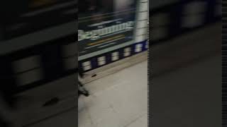 Mice running in London underground.