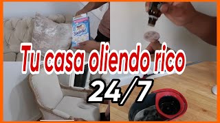 4 trucos/tips para que tu casa huela bien 24/7 - como mantener la casa limpia y olorosa