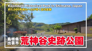 【4K】JR出雲市駅から荒神谷史跡公園 車でのアクセス方法 Shimane, japan【Road Navi】