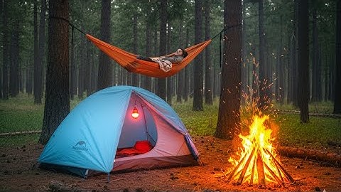 Solo camping in a pine forest – Cozy Hammock & nature vibes