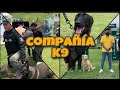 Así es un entrenamiento canino de la fuerza civil (COMPAÑÍA K9)