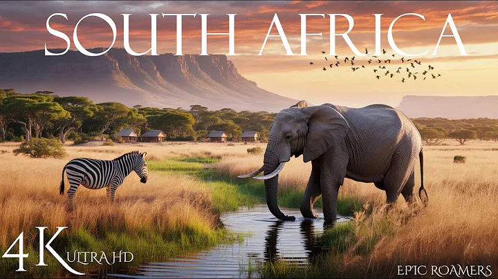 South Africa in 4K – Incredible Scenes & Uncovering Hidden Gems
