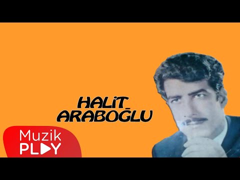 Damla Damla Aktı Yaşım - Halit Araboğlu (Official Audio)