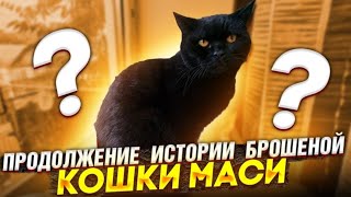 Продолжение  про ненужную кошку Масю😪