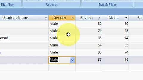 MS Access 2007 Part11   Urdu Tutorial by Irfan Wazir Ali