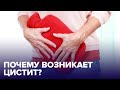 Почему возникает ЦИСТИТ и как его вылечить