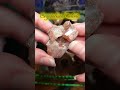 Crystalized Calcite or Red Diamond Calcite