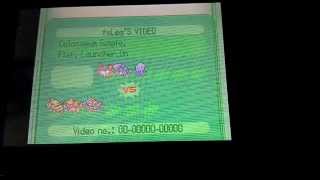 Pokemon Battle With Nyashka