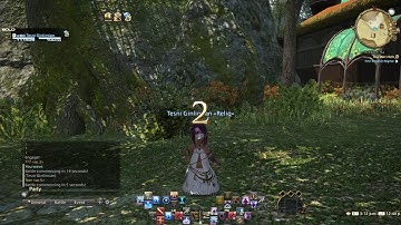 FFXIV Macros, Wait Commands