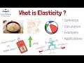 Understanding Elasticity in Economics