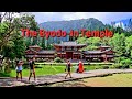 Hawaii | The Byodo-InTemple | 30 Minutes Drive from Waikiki | Walking Tour.