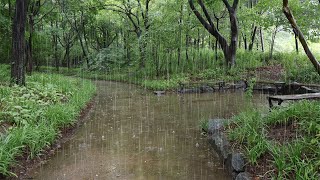 The comfortable sound of rain induces sleep  insomnia. Sleep disorder. white noise rain sound