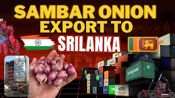 Small Onion Export to Sri Lanka | ✈️ VLOG | 📦#ExportBusiness #BusinessVlog
