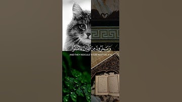 زين للذين كفروا الحياة الدنيا | القارئ : شايع التميمي |