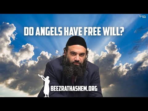 Do Angels Have Free Will Like People Do?
