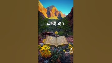 قران كريم تلاوة خاشعه #duet #القزابري #المصحف #دويتو #اكسبلور #تيك_توك