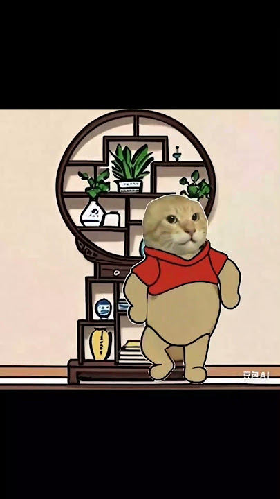 辱包短视频合集25  #习近平 #memes