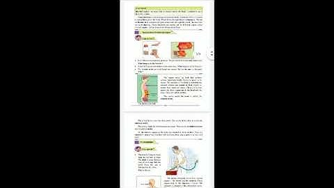 11|A Look inside the Body|Std 4|EVS 1|Reading video -Learn to Read the Chapter