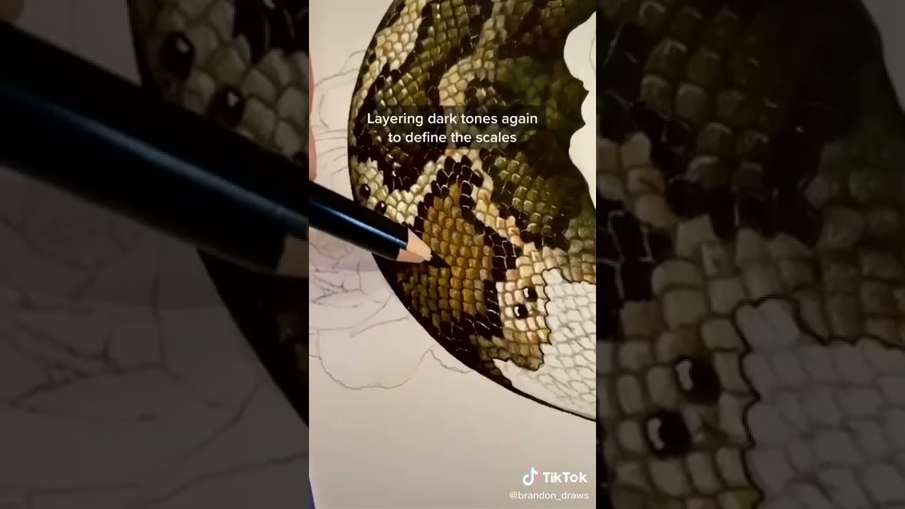 How I draw the snake scales 