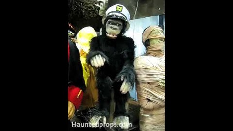 HAUNTEDPROPS.COM PLEASE GO TO HAUNTED PROPS.COM FOR MORE INFORMATION OR CALL 631 392 1135