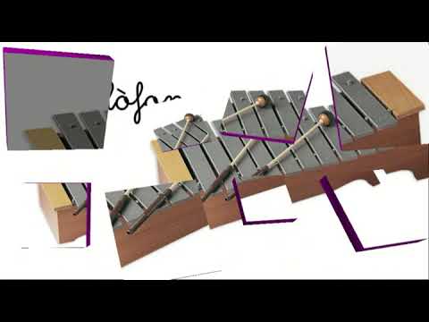 Vídeo: Quins Són Els Instruments De Percussió