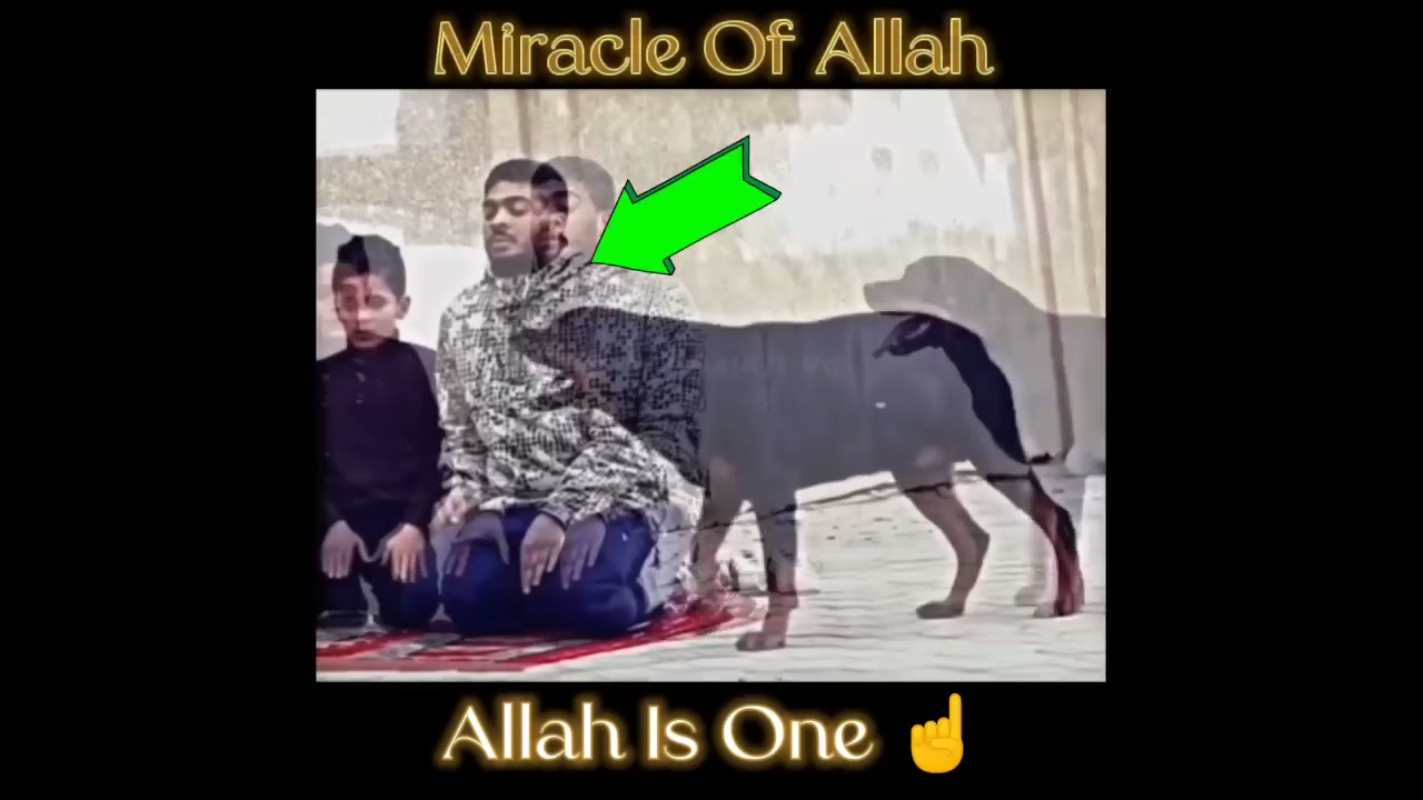 Miracle of Allah 