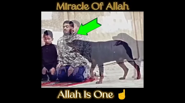 Miracle of Allah ☝️😳|| - DayDayNews