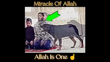 Miracle of Allah ☝️😳||