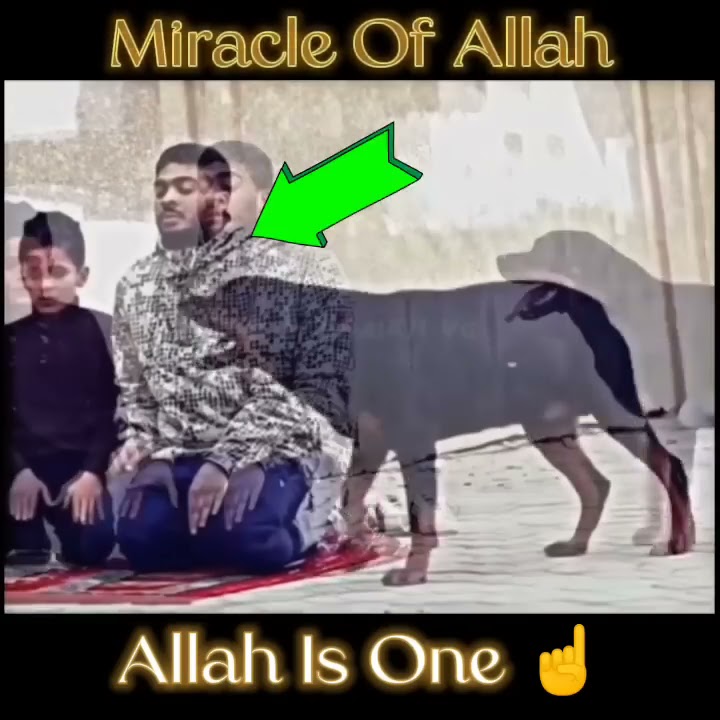 Miracle of Allah ☝️😳||