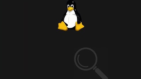 The Linux Terminal Commands: Head vs Tail with examples