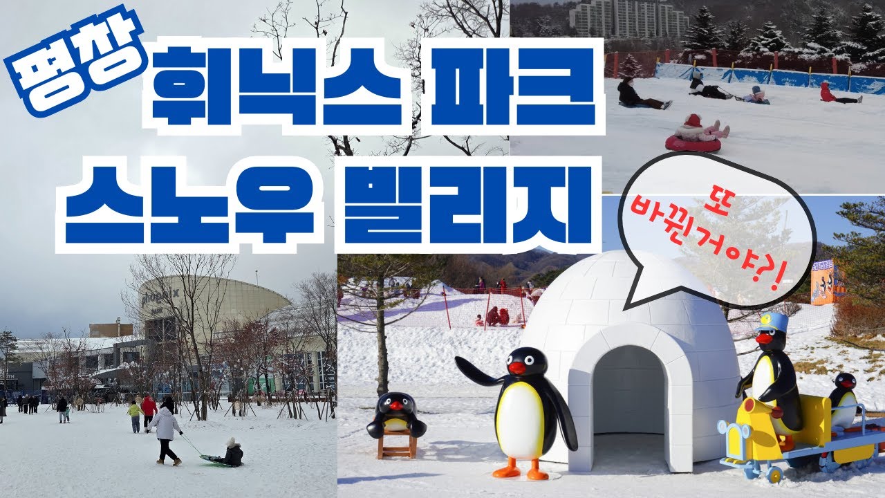 평창휘닉스파크 스노우빌리지 25-26년시즌